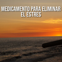 Melodías de Adoración - Espiritual Renovación