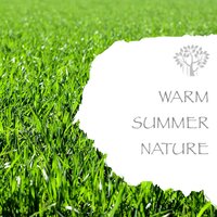 Nature Sounds - Outdoor - Nature And Bird Sounds & Natural Spirit