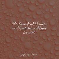 White Noise Roof Shed Rain - Rain & Massage & Meditation Music Experience