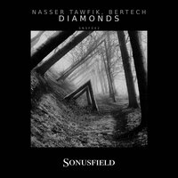 Diamonds - Nasser Tawfik & Bertech