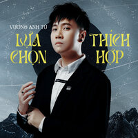 Lựa Chọn Thích Hợp - Vương Anh Tú