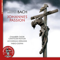 Johannes Passion, BWV 245: Aria: Erwage, wie sein blutgefarber - Accademia Hermans & Fabio Ciofini & Sergio Foresti & Lucia Casagrande Raffi & Carlo Putelli & Lucia Napoli & Johann Sebastian Bach