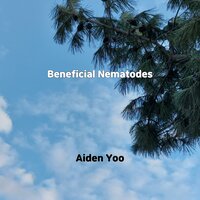 Oldies But Goodies - Aiden Yoo
