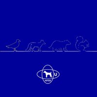 Badgers - Kinky Roland