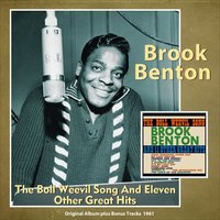 Why Try to Change Me Now? - Brook Benton