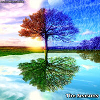 Summer - BrainyMusicLable & dandee