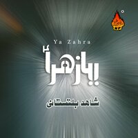 Paani - Shahid Baltistani