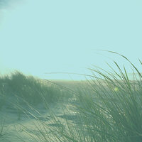 Vivacious Backdrops for Beach Trips - Bossa Nova Brazil