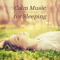 Quiet Moment - Calm Music for Sleeping