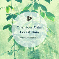 Rainy Morning - Nature Atmospheres & Nature Sounds for Sleep and Relaxation