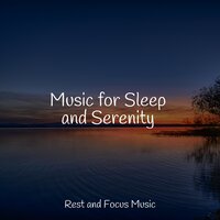 Waves on the Sand - Studying Music & Tinnitus Aid