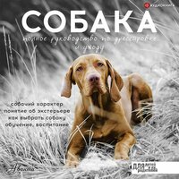 Алексей Целлариус. «Собака. Полное руководство по дрессировке и уходу». Часть 23 - Константин Корольков