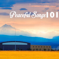 One Force - Peaceful Music Orchestra