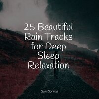 Rain on Car - Help Me Sleep & Rain Sounds Collection & Egyptian Meditation Temple
