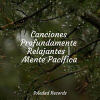 Puerta De Entrada Al Nirvana - Canciones Para Niños & Sonidos de la Naturaleza para Dormir & Academia de Meditação Buddha