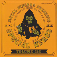 Sumac Berries - MF DOOM