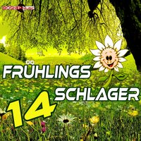 Mein Kopf sagt nein mein Herz sagt ja - Celine