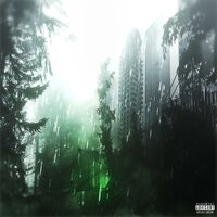Rayquaza - pradaaslife