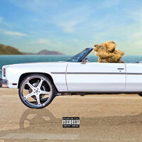 Put It In Drive - Pioneer