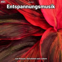 Entspannungsmusik pt. 8 - Einschlafen
