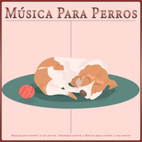 Música de piano para perros relajante - Música Para Perros & Colectivo De Música Para Perros & Música Relajante para Perros