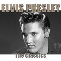 Let Me Be Your Teddy Bear - Elvis Presley