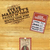 Itchycoo Park - Steve Marriott