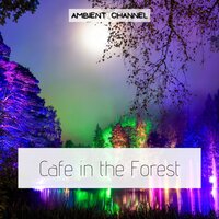Two Wave Hold Down - Ambient Channel