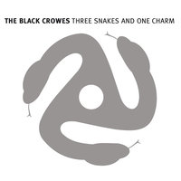 How Much For Your Wings? - The Black Crowes
