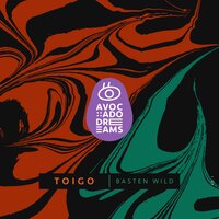 Basten Wild - Toigo