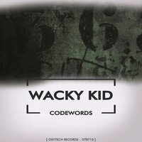 G. D. F. D. B - Wacky Kid