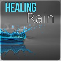 The Secret Spa - Natural Healing Music Zone