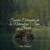 Un Paseo Por La Playa - Masajes Spas & Piano Relajante & Canciones Para Niños