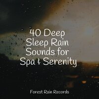 Small Waves Crashing - Oasis de Détente et Relaxation & Crying & Colic Relief & Sounds of Rain & Thunder Storms