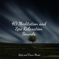 Petals on the Water - Baby Sleep Lullaby Academy & Relaxing Sleep Sound & Studying Music