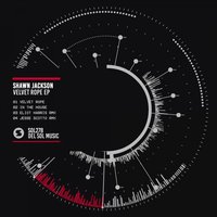 Velvet Rope - Shawn Jackson