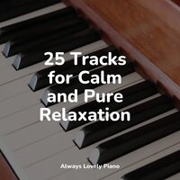 Moment of Peace - Piano for Studying & Bedtime Baby & Calming Baby Sleep Music Club