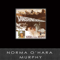 The Vanishing Horsemen - Norma O'Hara Murphy