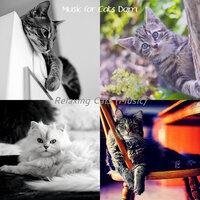 Relaxing - Music - Music for Cats Bgm