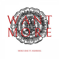 Want More - Merca Bae & 45DiBoss