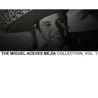 Carabina 30-30 - Miguel Aceves Mejia