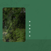 Festive Backdrops for Mental Exercises - Descansar Musica