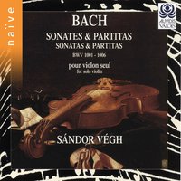Violin Sonata No. 2 in A Minor, BWV 1003: II. Fuga - Vegh Quartet & Johann Sebastian Bach