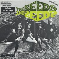 Faded Picture, A - The Seeds