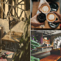 Elegant Backdrops for Champagne Brunches - Reading Background Music Playlist