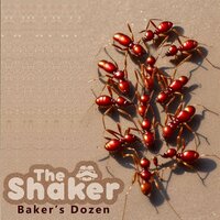 Gotham City Rockers - The Shaker