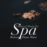 Wellness Center - Spa Piano Music Specialists & Relaxing Piano Music & Relaxing Piano Music & Spa Piano Music Specialists