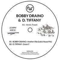 Arctic Travel - Bobby Draino & Beliefs
