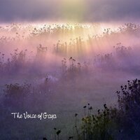 One Hundred Lines - Naturgeräusche & Bruit De La Mer & La Naturaleza Del Sueño