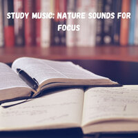 Background music - Brain Timbre & Hi Freq Samples & Study Music & Sounds